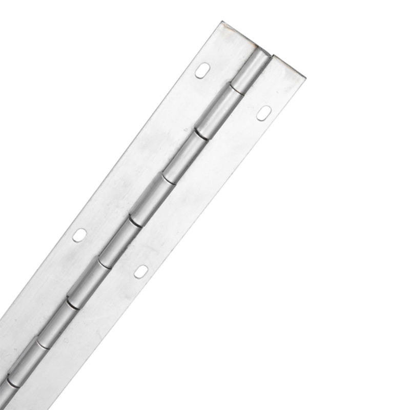 Supply Stainless Steel SS304 Long Heavy Duty Helix Hinge