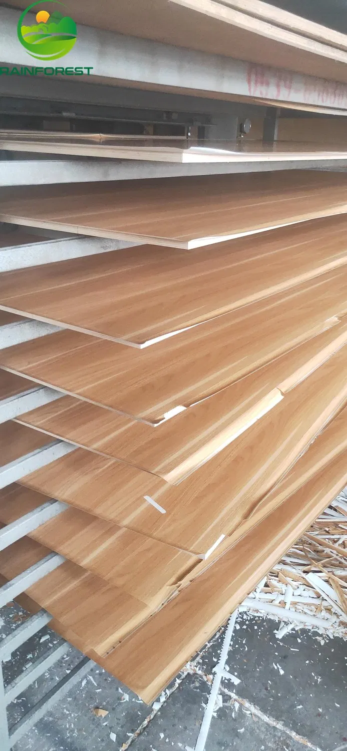 Hot Press Double Sided Melamine Leminated Plywood for Furniture