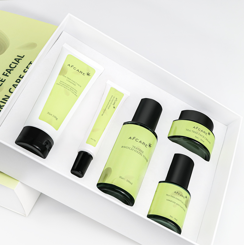 Custom Logo Private Label Repair Tea Tree Anti-Acne Facial Skin Care Set
