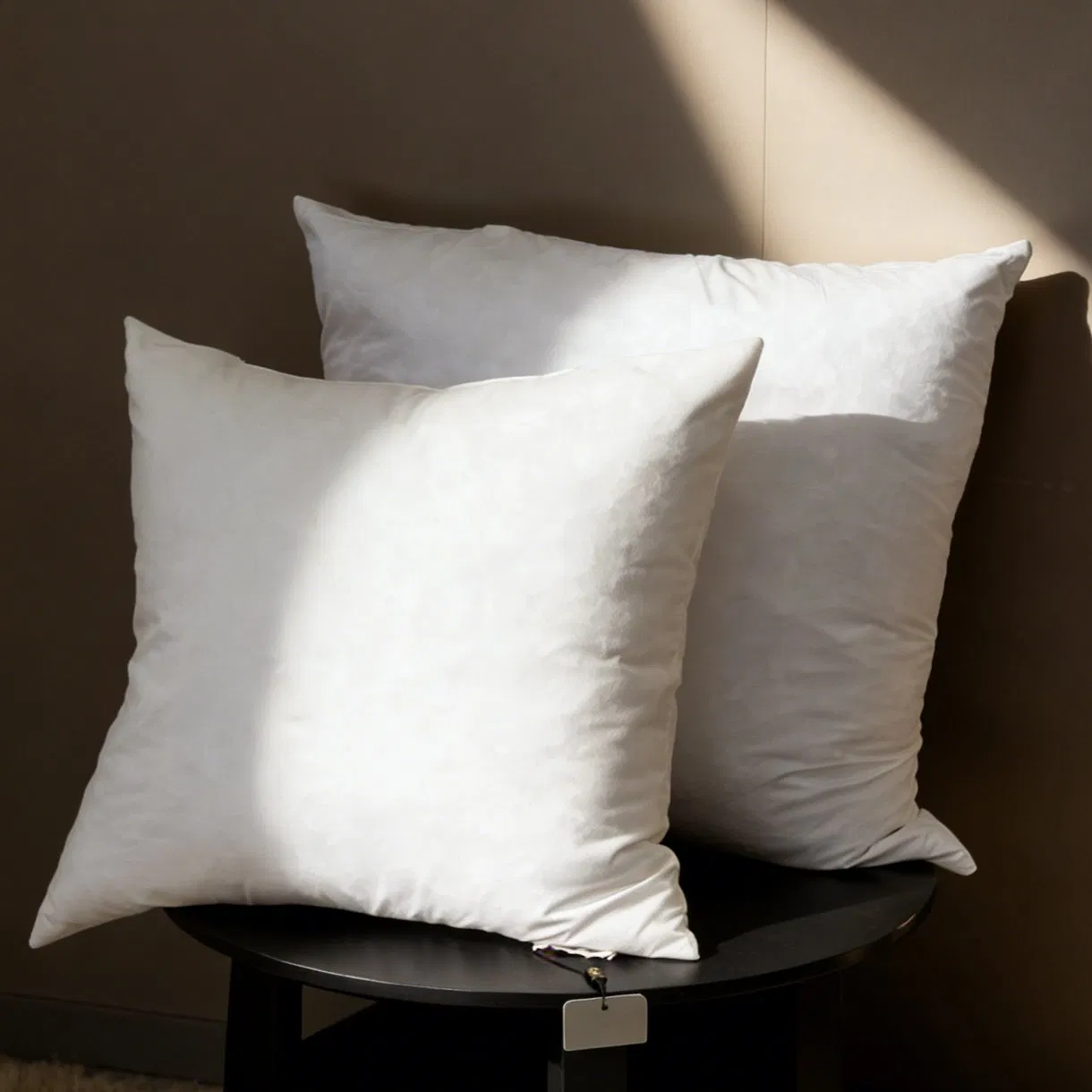 China Factory Soft Duck Feather Cushion Insert Reading Sleeping for Cushions