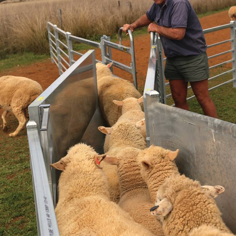 Portable Agricultural Sheep Yards with Goat Gates of Good Quality for Sale
