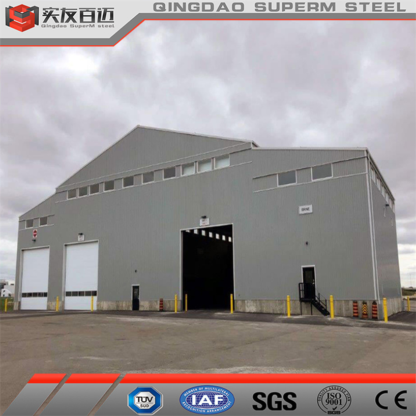 Professional New Design Steel Building Storage Prefab Warehouse Farm Food Production Workshop House Plant Building for Sales