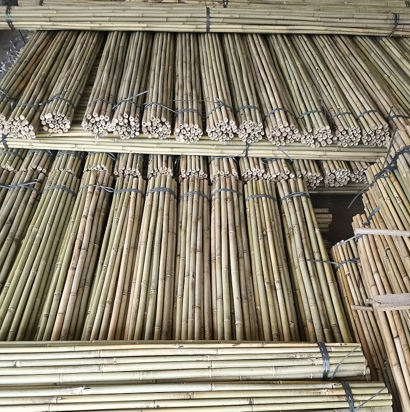 Cheap Bamboo Cane Agricultural Support Bamboo Poles