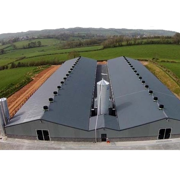 Constant Cross-Section and Variable Cross-Section H Shape Profile Columns and Beams Fabrication