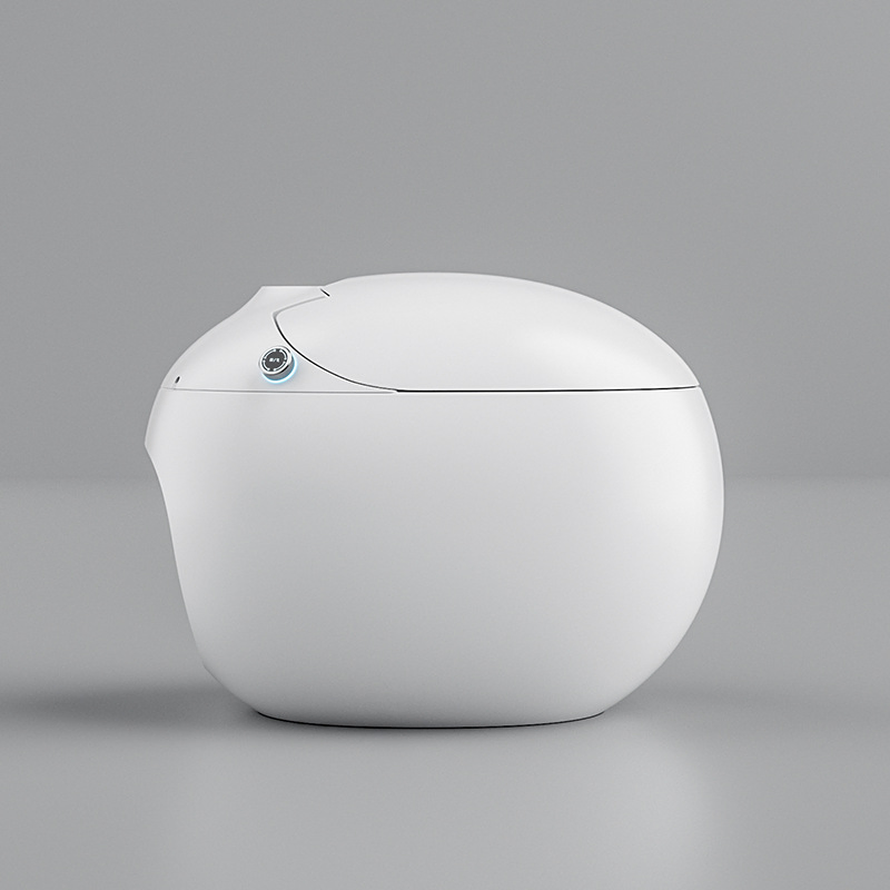 Toilet Egg Smart Toilet Fully Automatic Bidet and Toilet Wc Smart Seat Sprayer for Bath