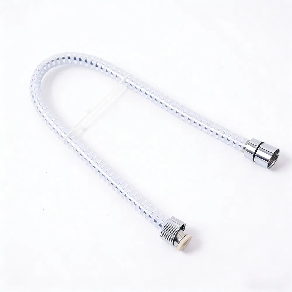 High-Quality Modern in Chrome Finish for Stylish Bathrooms Shower Hose