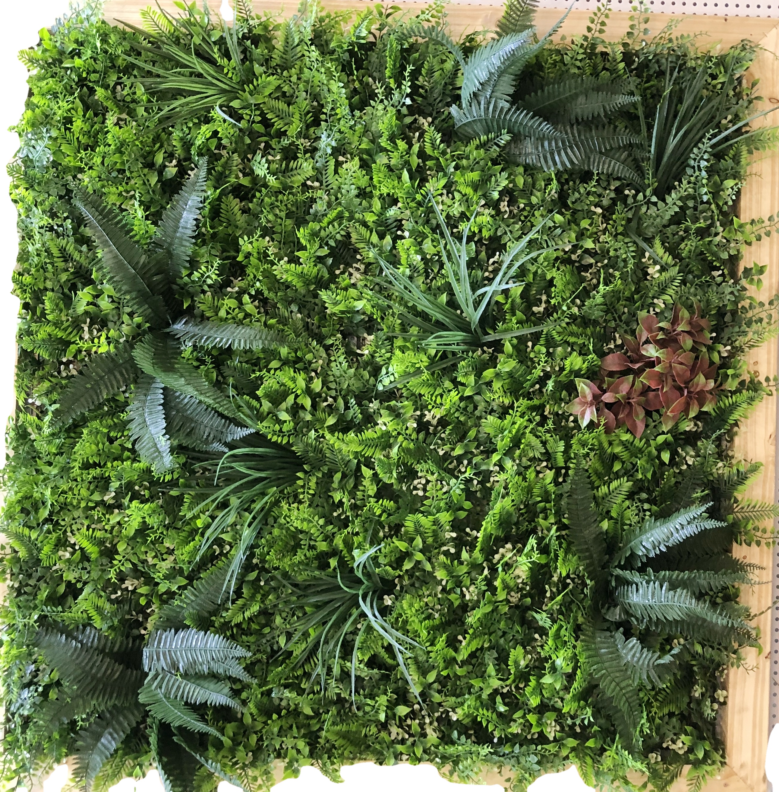 Стена зеленая вертикальная искусственная трава 1x1 м