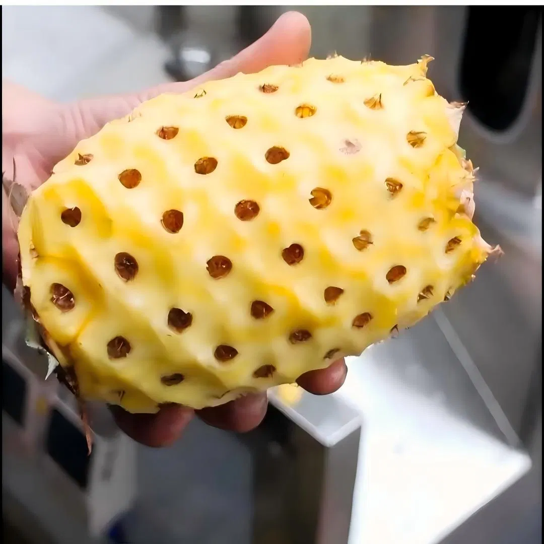 Melon and Fruits Peeling Machine with Rapid and Accurate Peeling for Saving Cost and Labor Handing Efficiency