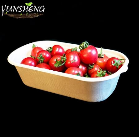 Rectangle White Bamboo Pulp Paper Customzied Compostable Box with Lid