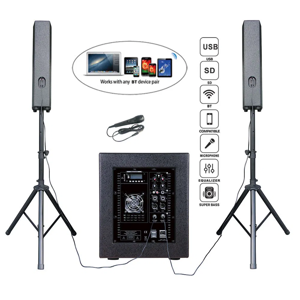 Professional Audio 2000W 12inch Subwoofer Karaoke Sets PA Speaker System Sound Box Active Subwoofer Array Line Bocina Parlante