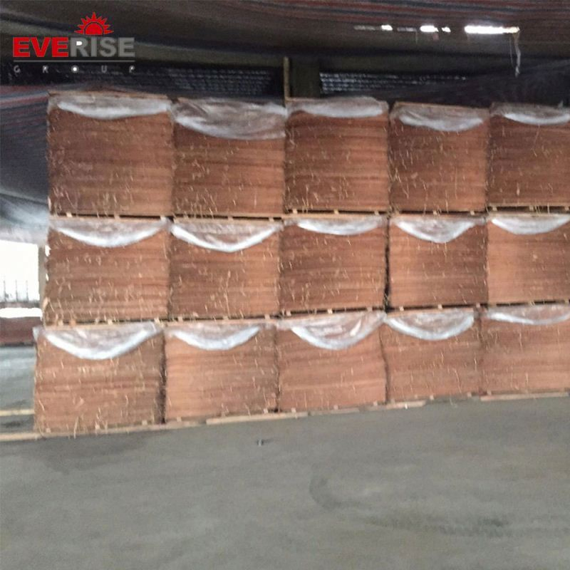 Waterproof Furniture Commercial Laminated Plywood Birch Poplar Board in Melamine Veneer Hardwood