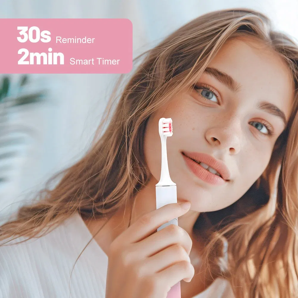 China Factory Wholesale Personalized Travel Portable Smart Waterproof Freshday Sonic Electric Toothbrush