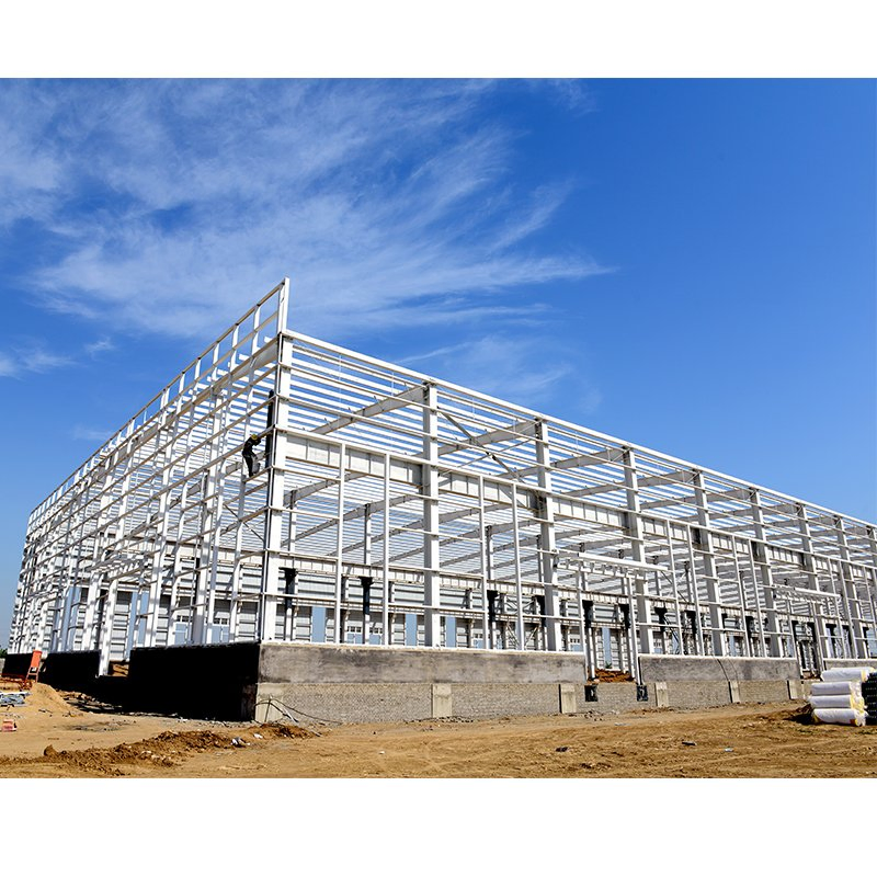 Commercial Shed Steel Structure Frame Welded Factory Shed Poultry Farm House