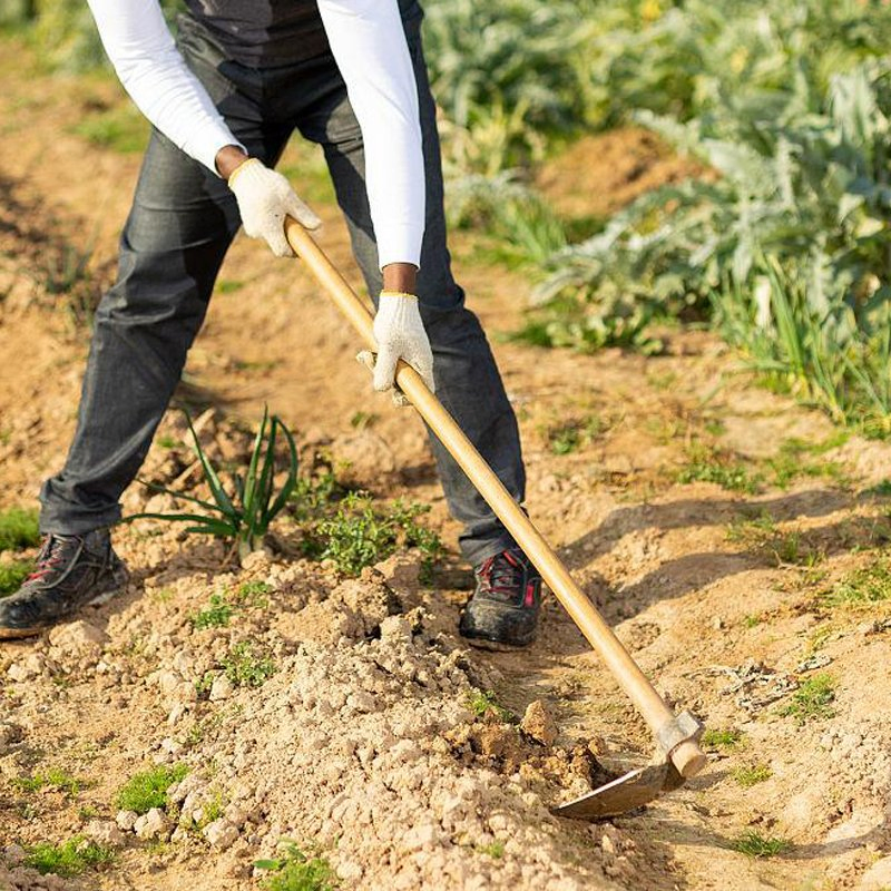 Sale Yard Factory Tools Product Cheap Farming Agricultural Garden Hoe