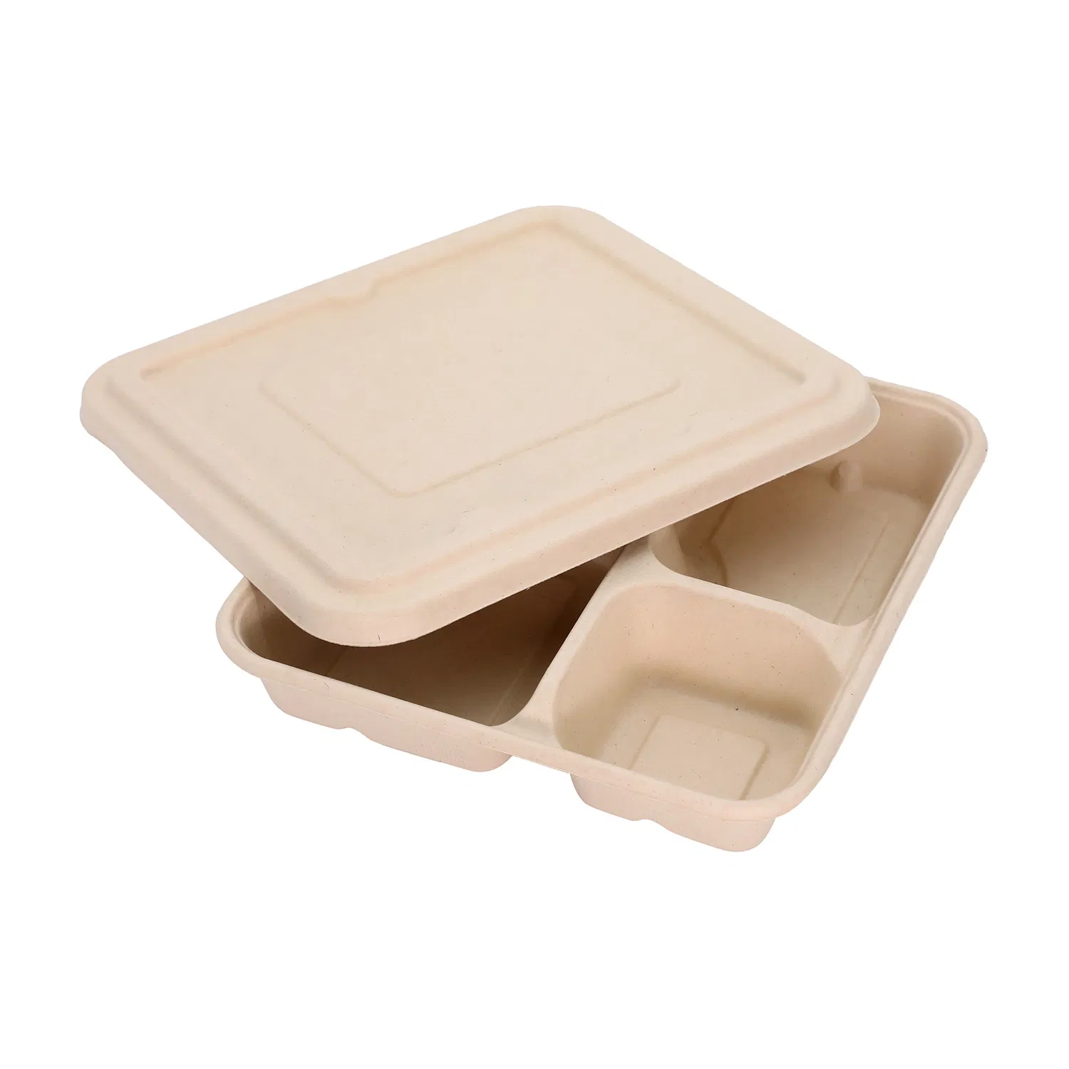 Disposable Compostable Tableware Sugarcane Bagasse Lunch Boxfood Storage Container