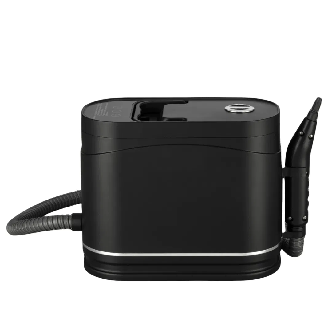 2025 new design 1200ml water tank Household Multi-function Steam Cleaner with Blue Light Anti-bacterial Function