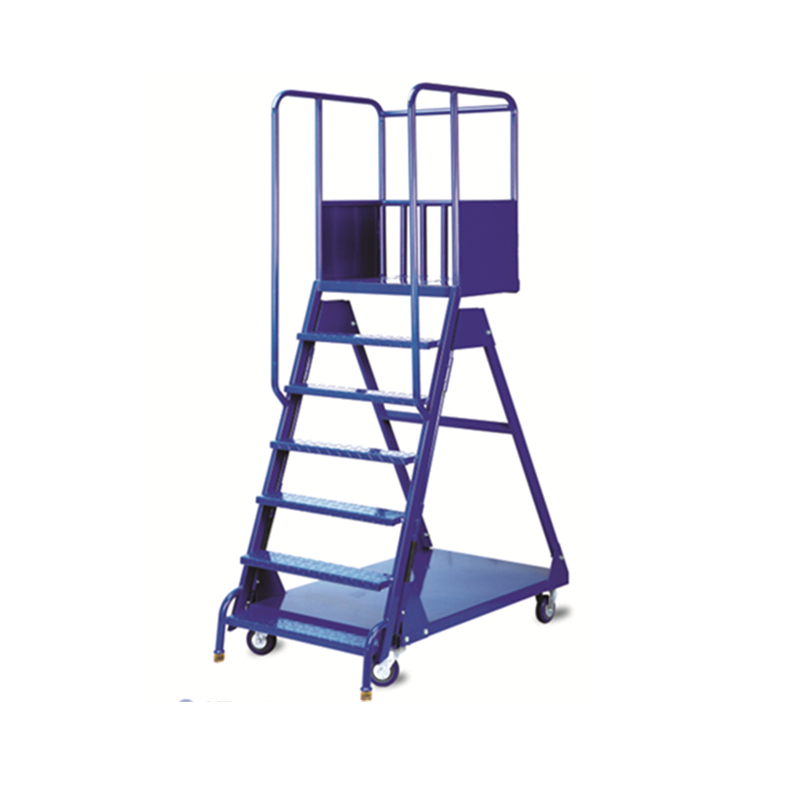 Factory Saleswarehouse Stainless Steel Rolling Mobile Platform Ladder Trucks