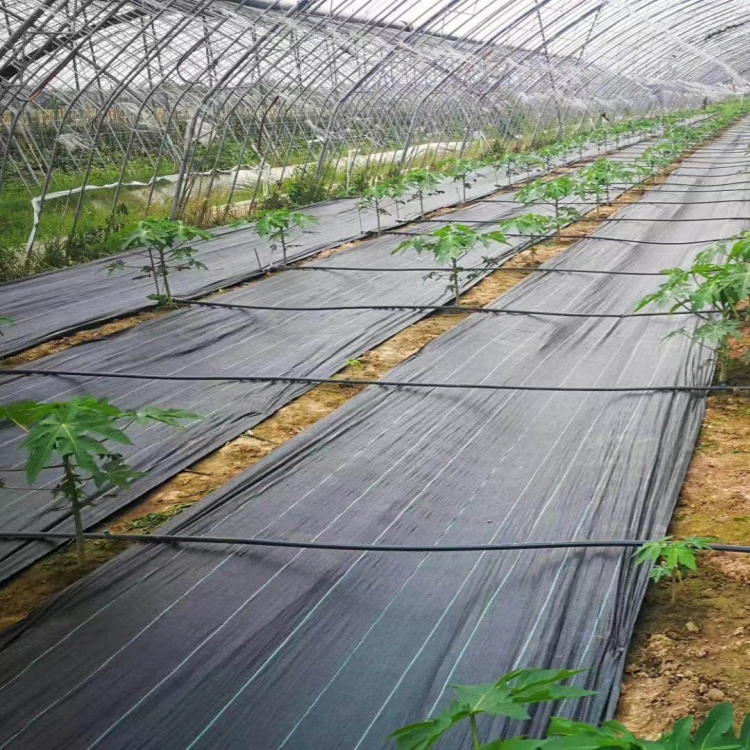 Agricultural PP Woven Fabric Ground Cover Weed Mat Control Weed Barrier Landscape Fabric