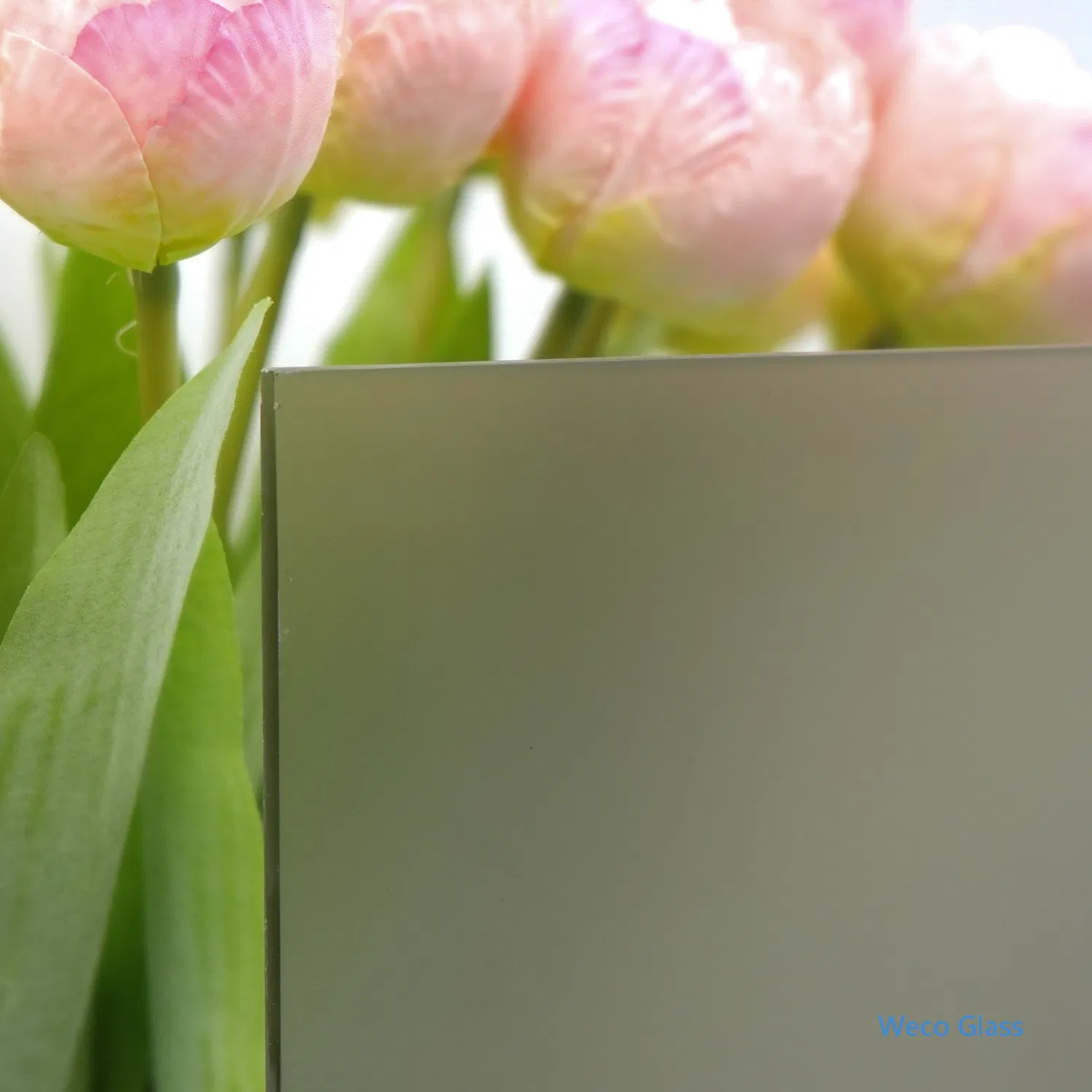 China Made 5mm 6mm Decorative Frosted Acid-Etched Glass with Custom Sizes