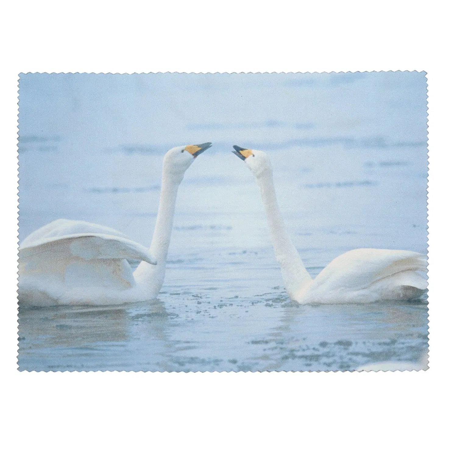 Microfiber Cleaning Cloth for Lens Screen Glasses Sunglass Eyeglasses