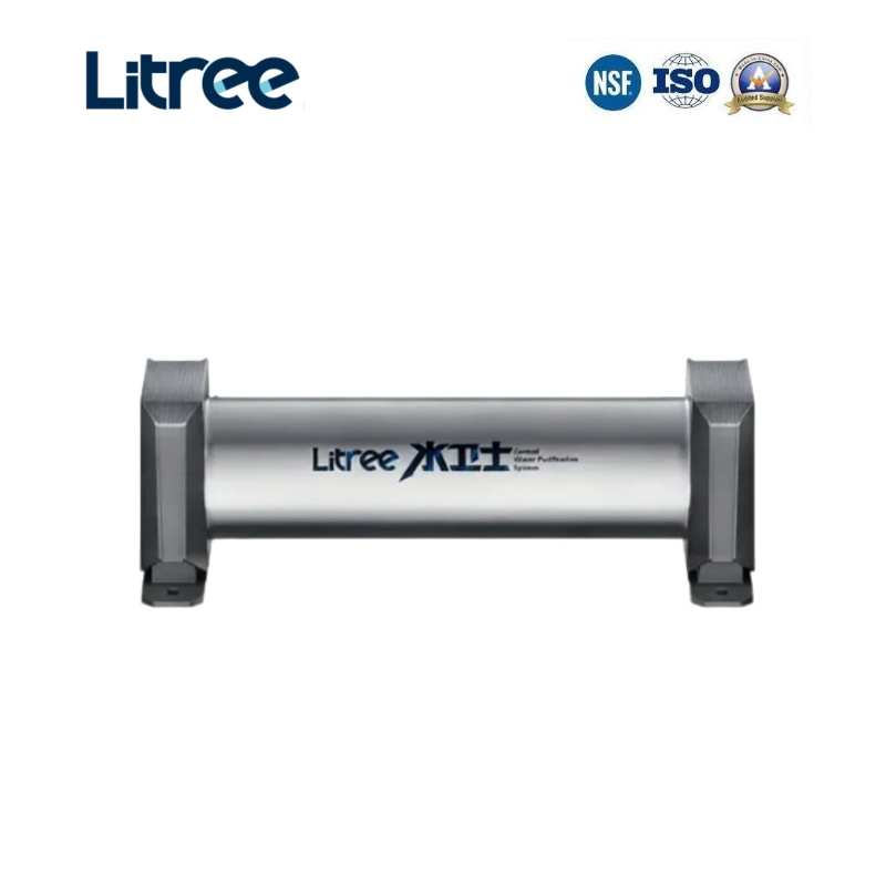 Whole Home Water Treatment System - High Capacity Filter for Villas and Residences