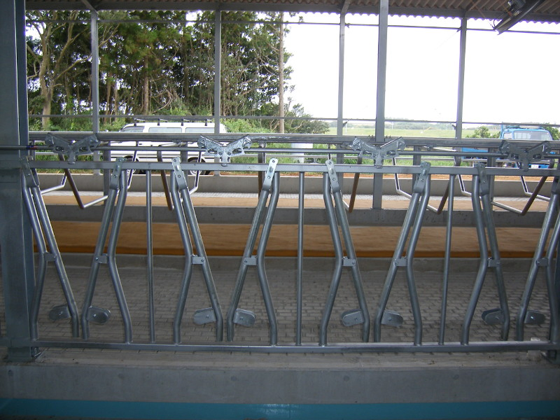 Steel Structure Poultry House Prefab Farm Building Cow Barn Sheep/Cattle/Dairy/Goat House Farm Sheds