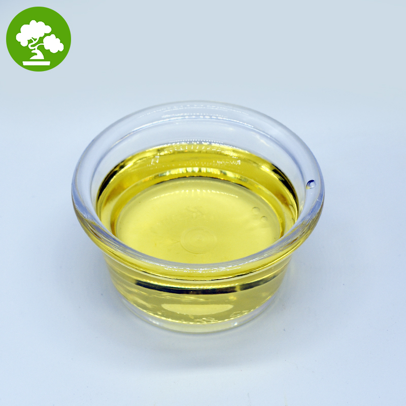 High Quality 100% Pure Cold Pressed Natural Plant Oil for Skincare & Culinary Use Camellia Oil