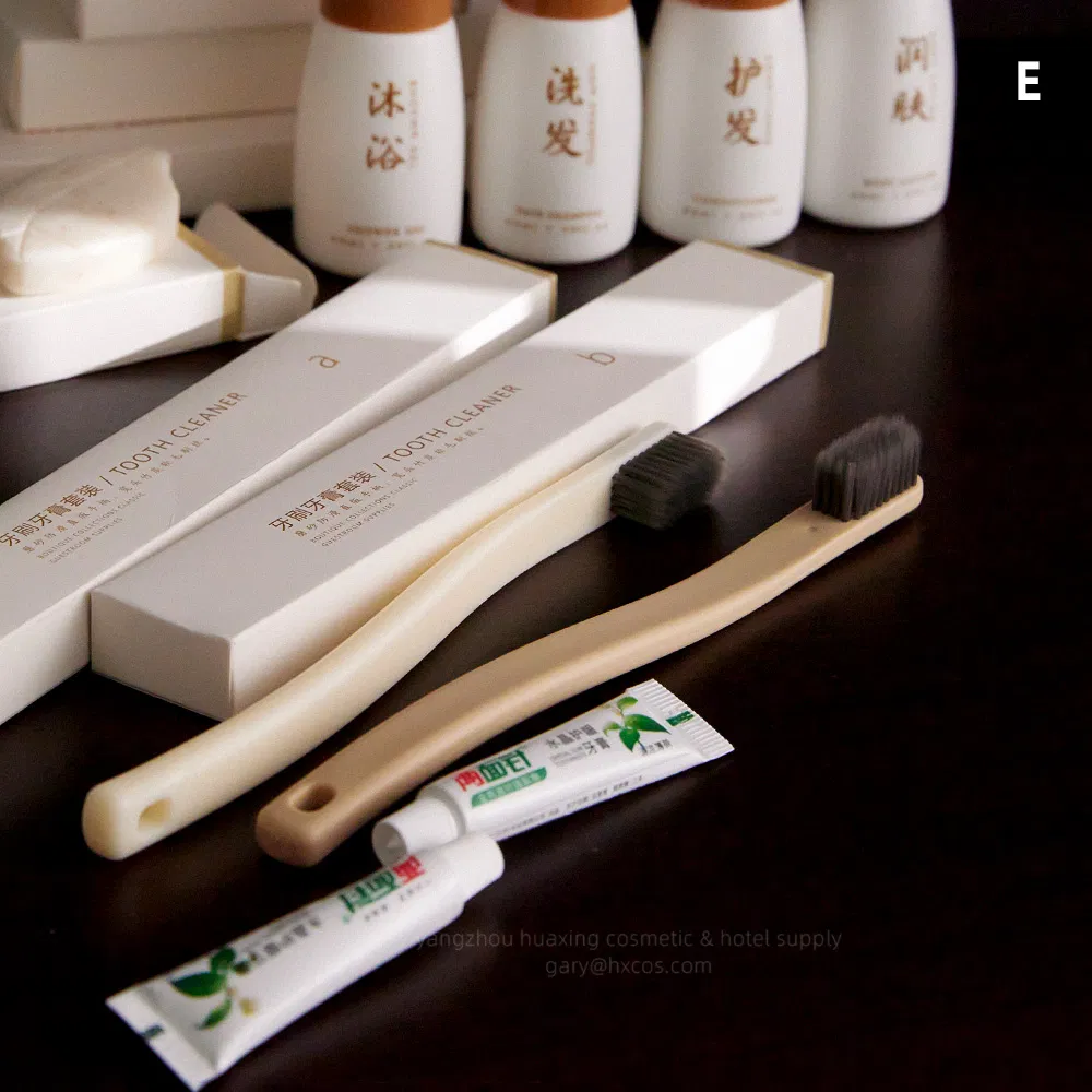 Premium Hotel Amenity and Disposable Hotel Toothbrush Toothpaste with Private Logo and Custom Hotel Supply Set