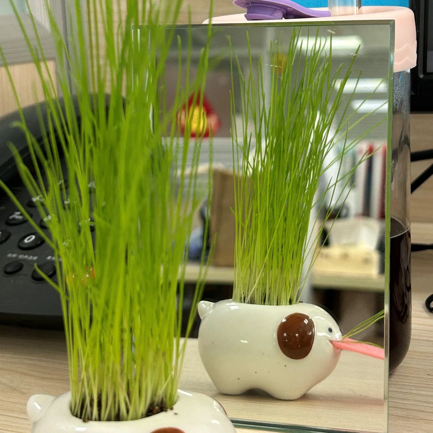 5mm Silver Mirror/Aluminium Mirror/Copper&Lead Free Mirror/Furniture Mirror