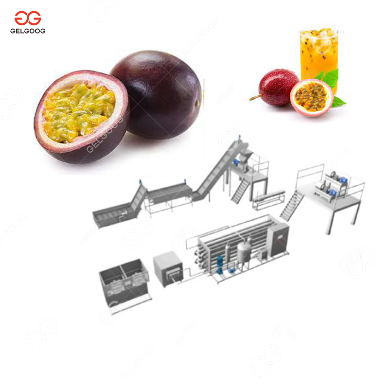 Fruit Juice Extractor (GGJE-5)