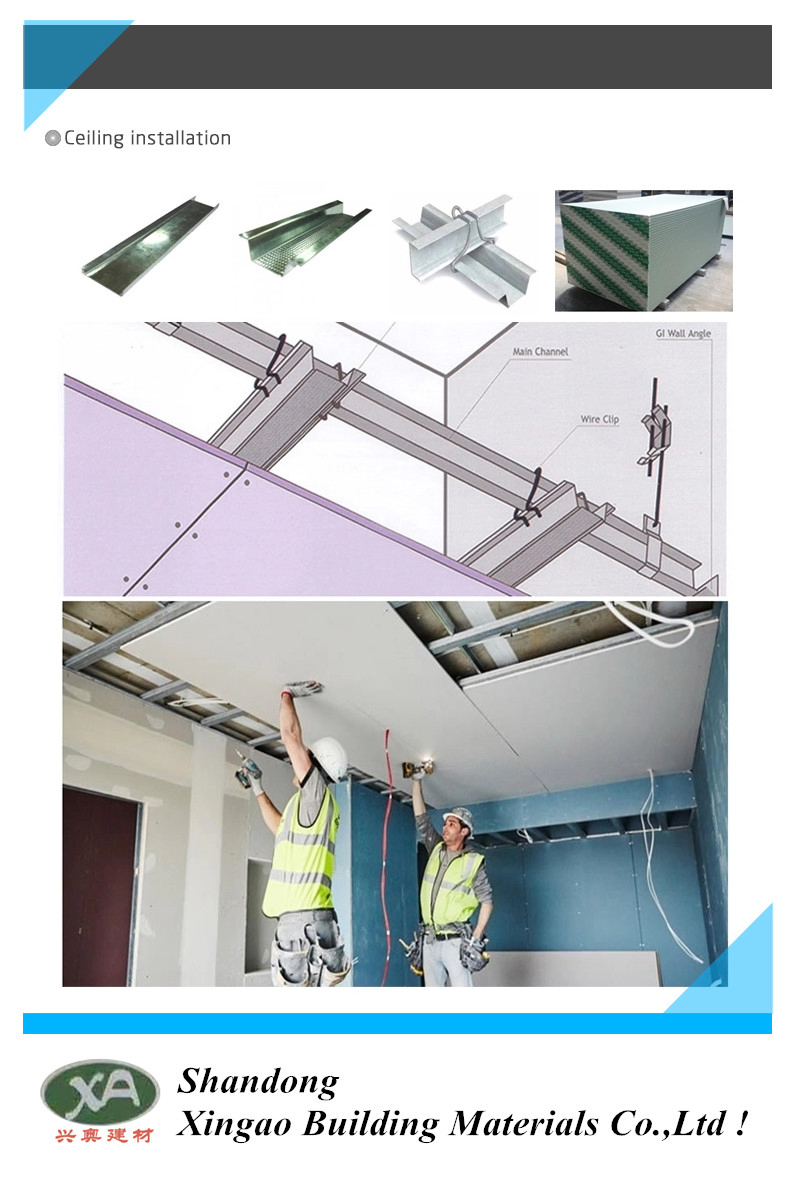 Regular Fireproof and Moisture Proof Paper Faced Gypsum Board