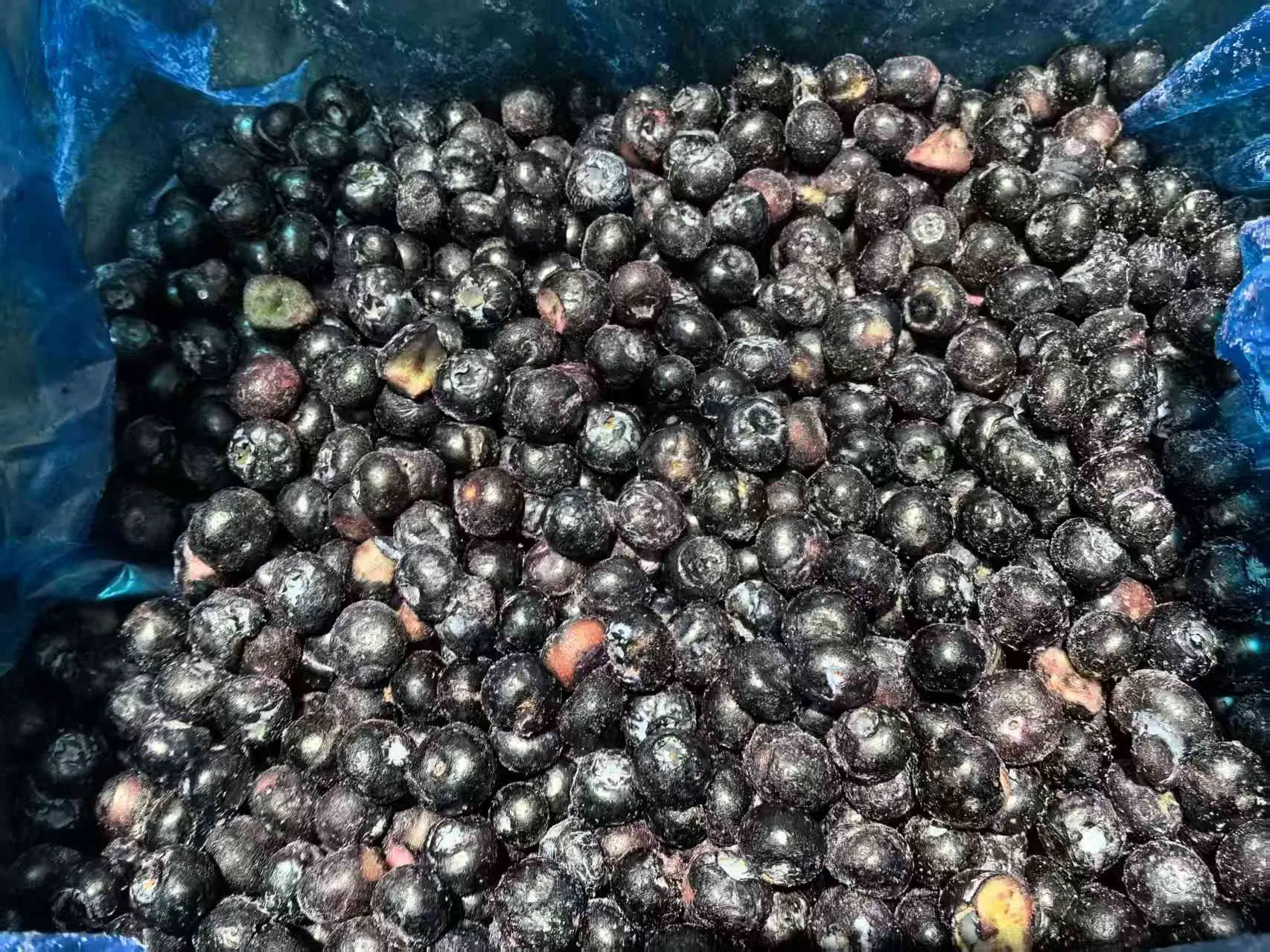 Wholesale of Frozen Fruit IQF Fruit Frozen Blueberry