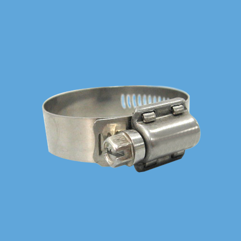 All Stainless Steel 316 Band Width 14.2mm a Type Hose Clamps with Cover Housing