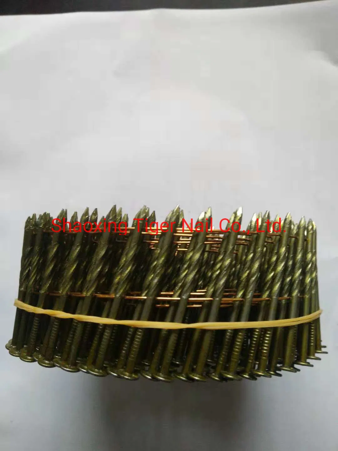 Coil Nail2.5 (6.2) for Stapler