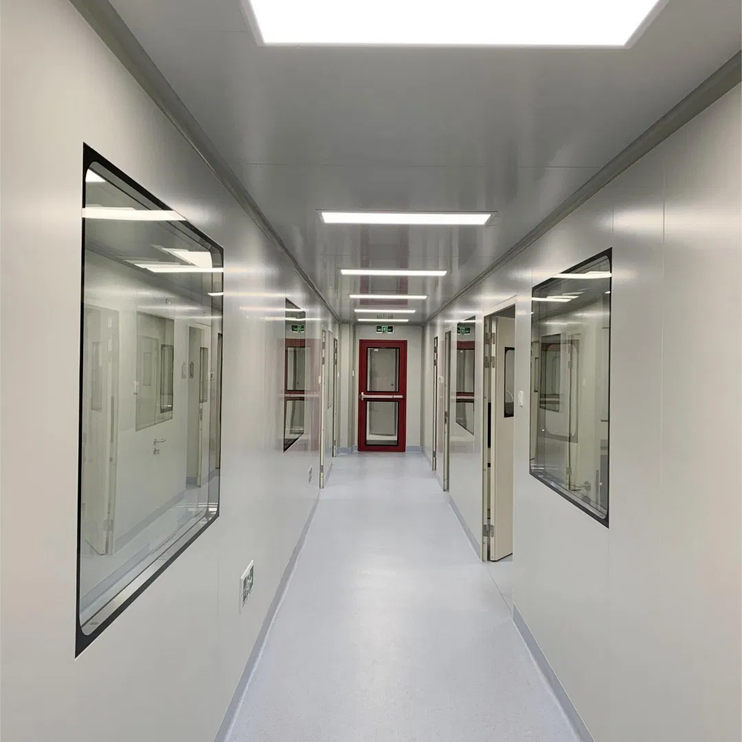 High-Performance Stainless Steel Clean Room Window with Germ Shield