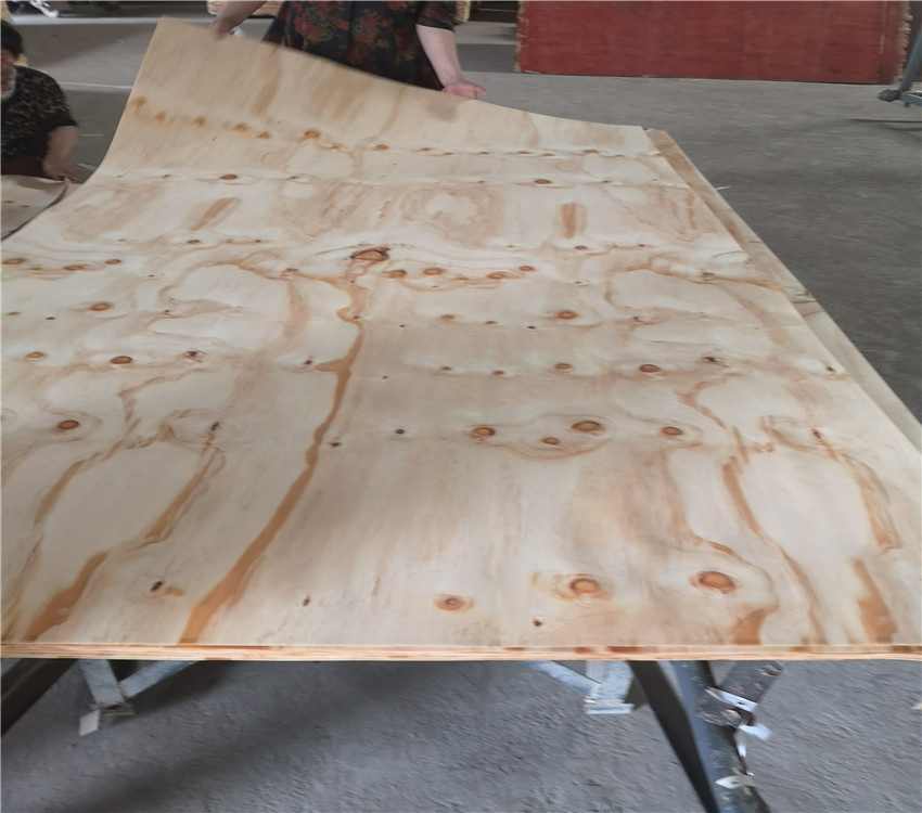 Hot Sales China Manufacturer Pine Core Layers Grade Bb / Cc Pine Veneer for Plywood