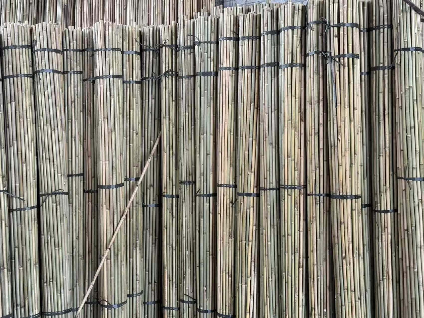 Dry Straight Agriculture Bamboo Poles Manufactures for Garden Plant Tonkin Bamboo Cane
