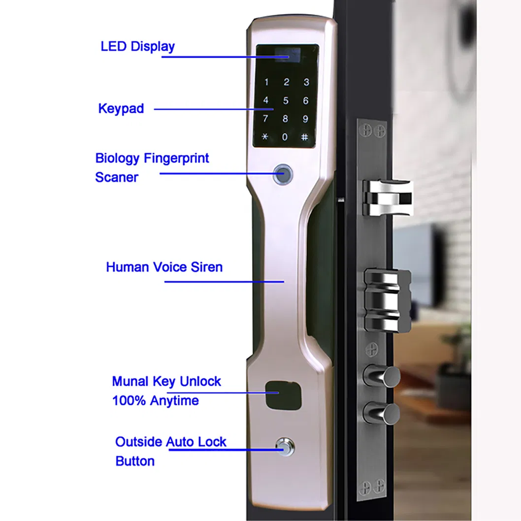 Electronic Smart Keypad Safe Code Fingerprint Door Lock