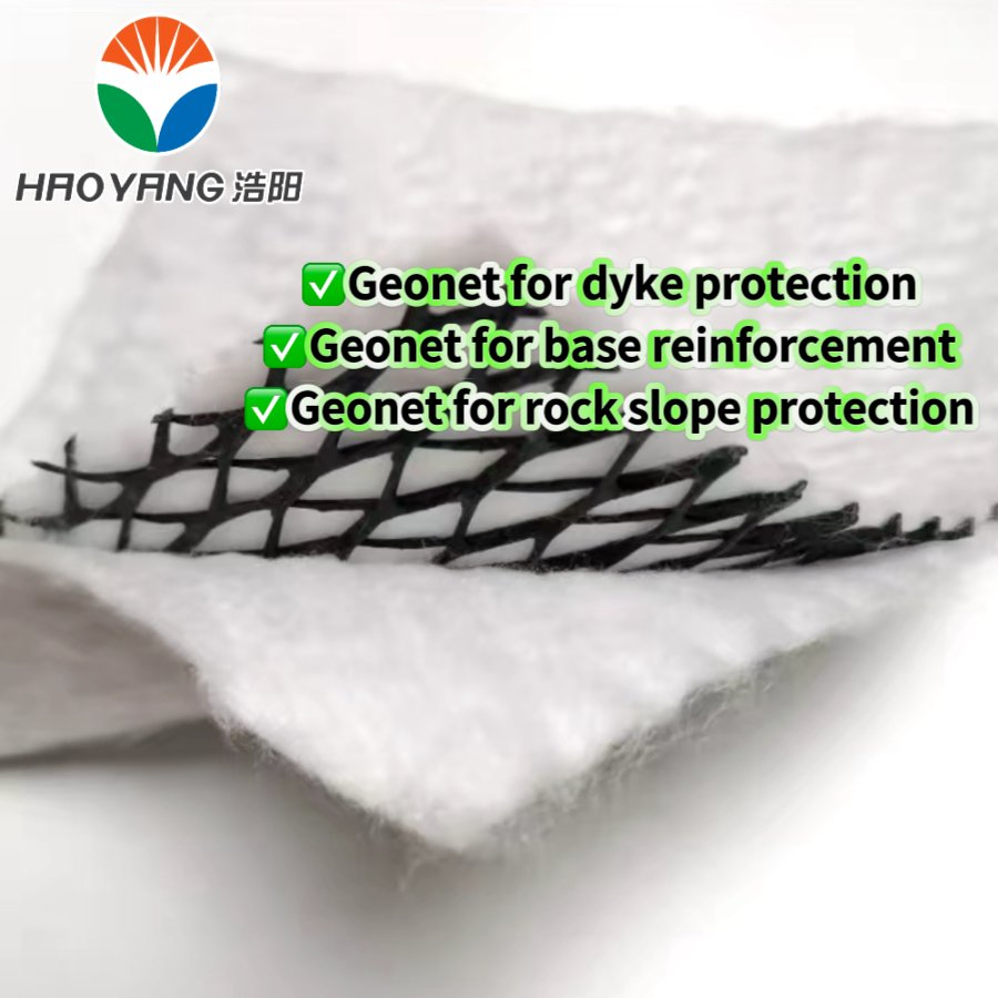HDPE Premium Geonet for Erosion Control and Soil Stabilization Solutions