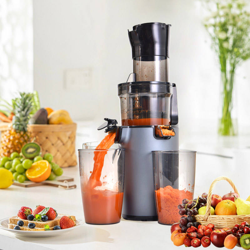 Sj-003 Orange Citrus Fruit Juicer Machine Commercial Electric Cold Press Extractor Machine Slow Juicer