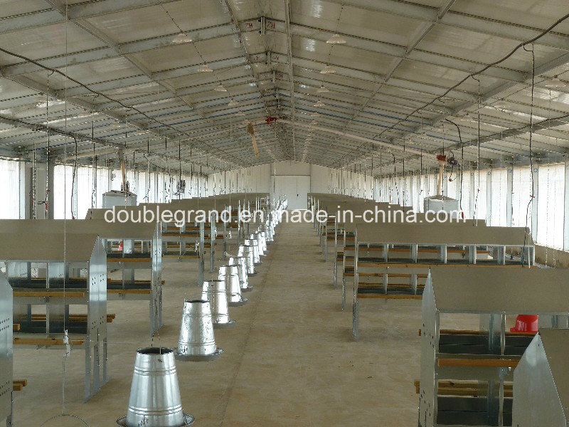 Prefab Steel Structure Poultry House, Chicken House, Farm Building