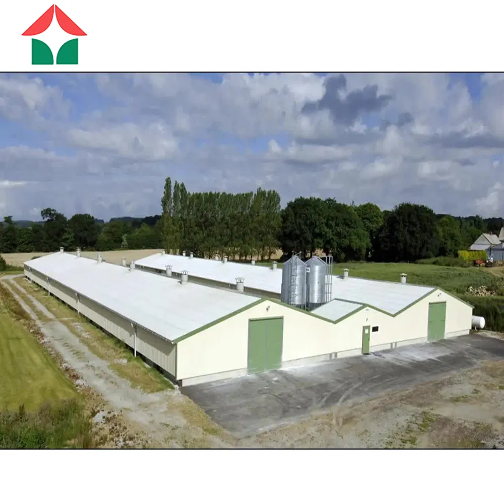 Customized Free Design Metal Frame Steel Construction Prefabricated Prefab Light Steel Structure/Chicken Sheds/Broiler Farm/Poultry Farm