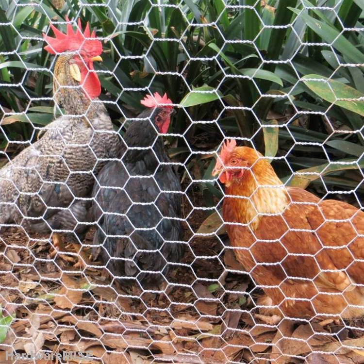 Wholesales Galvanized PVC-Coated Garden Fence Rabbit Mesh Chicken Wire Netting Mesh Steel Woven Hexagonal Safety Wire Net Poultry Fence