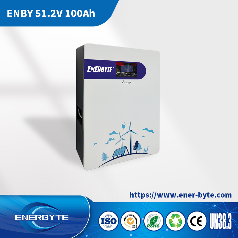 Литий-ионная система хранения энергии 51.2V 100Ah для дома и солнечных панелей