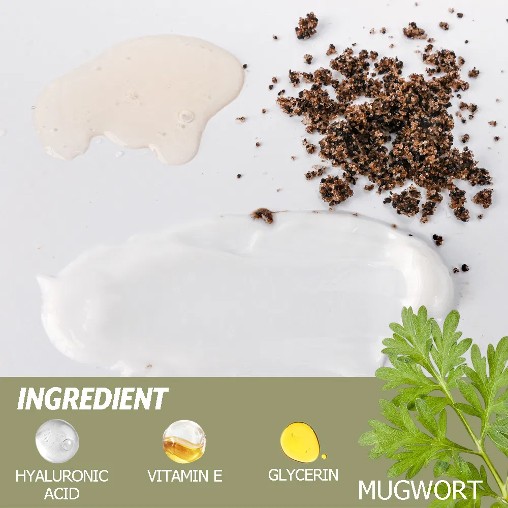 Herbal Mugwort Face Moisturizer Cream Korean Skin Care Set