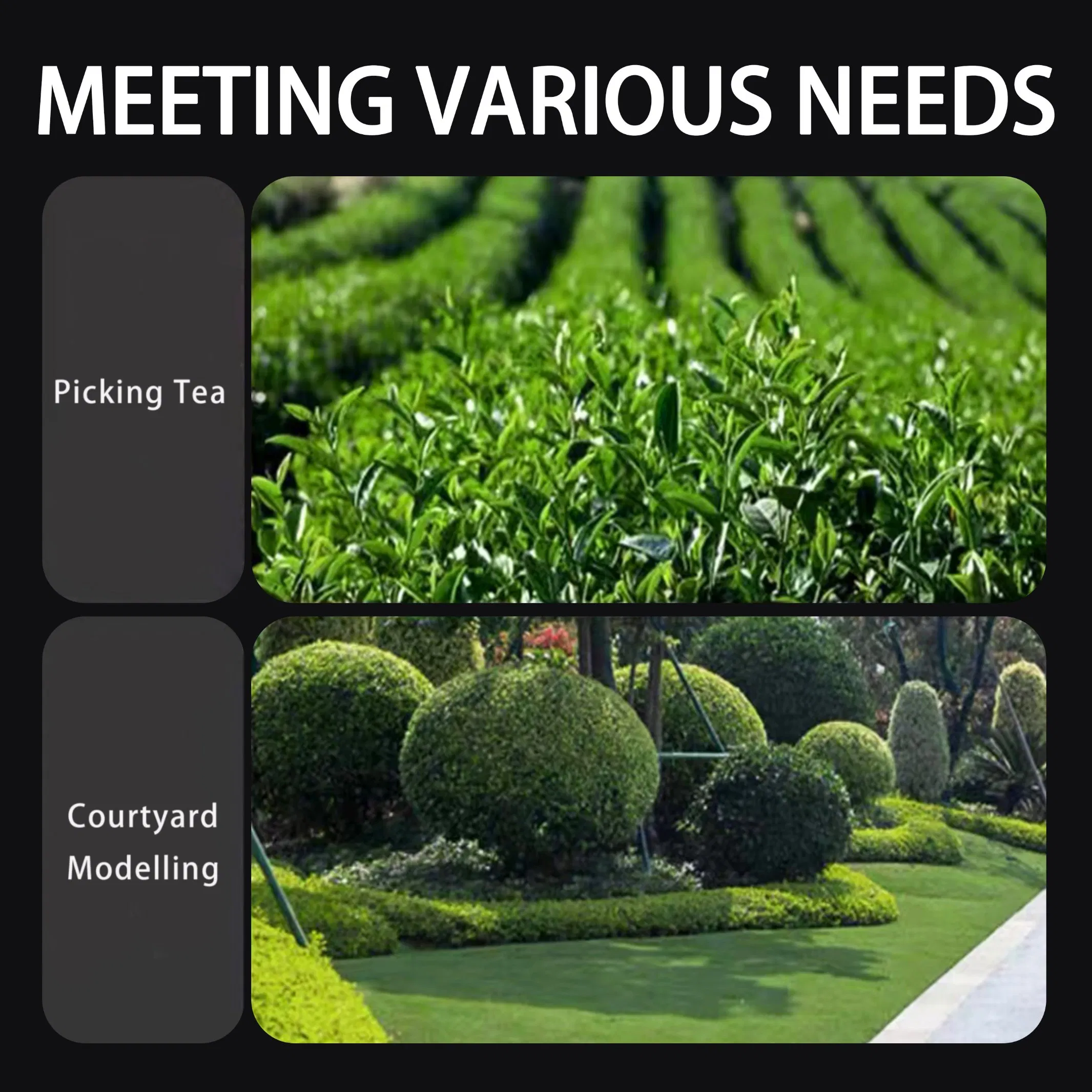 20V Wosai Cordless Brushless Tea Leaf Harvest Hedge Trimmer Grass Trimmer for Garden Yard