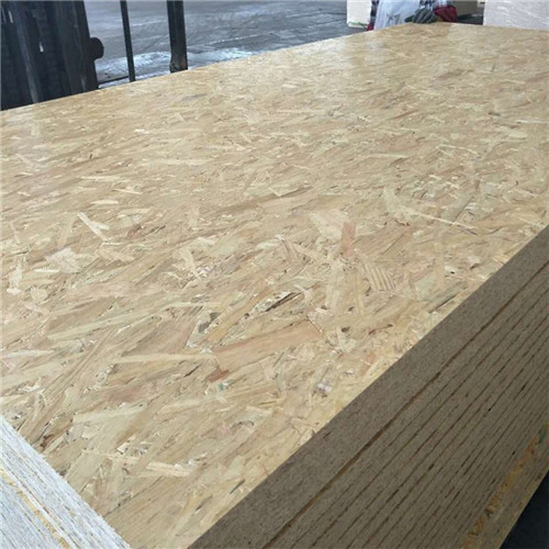 OSB Plywood