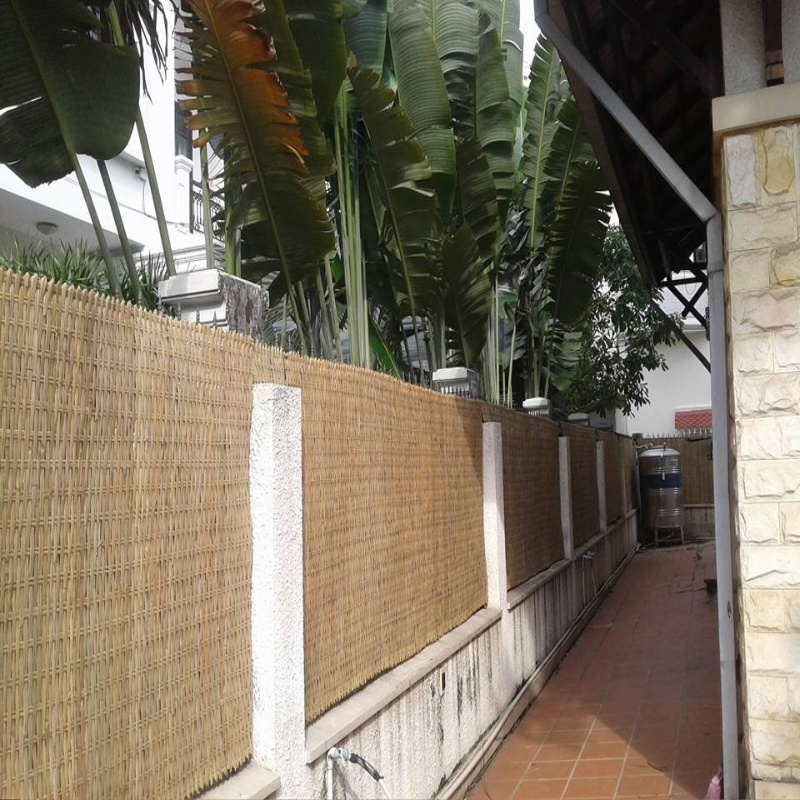 Natural Wood and Strand Bamboo Woven Veneer Face Decorative for Longboard Skateboards