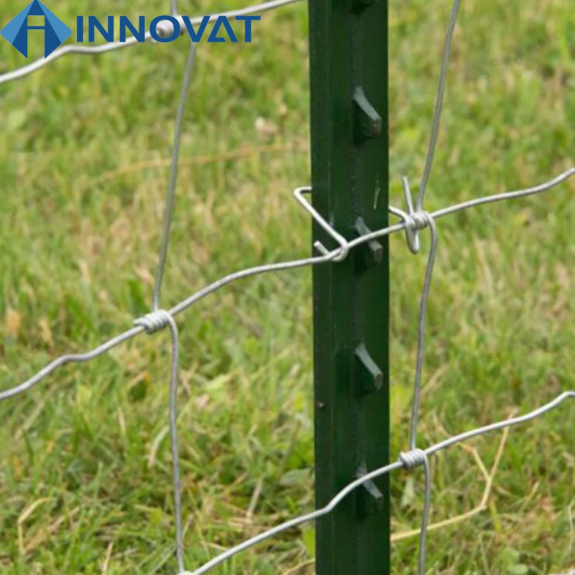 Farm Fence Studded T Post (USA Type) and Most Popular 10FT T Posts Garden Fence Post Steel T Post Studded T Post /Steel Fence Post /Steel T Post Cattle