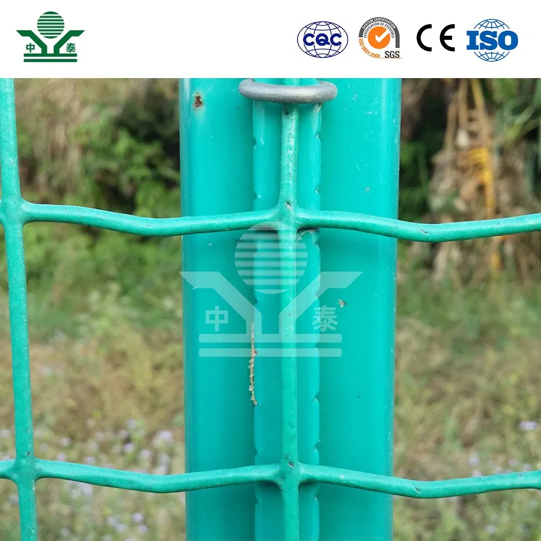 Zhongtai Dutch PVC-Coated Wire Mesh Fence China Manufacturing Dutch Holland Wire Mesh 5 - 25 M Length Dutch Wire Mesh Garden Fence